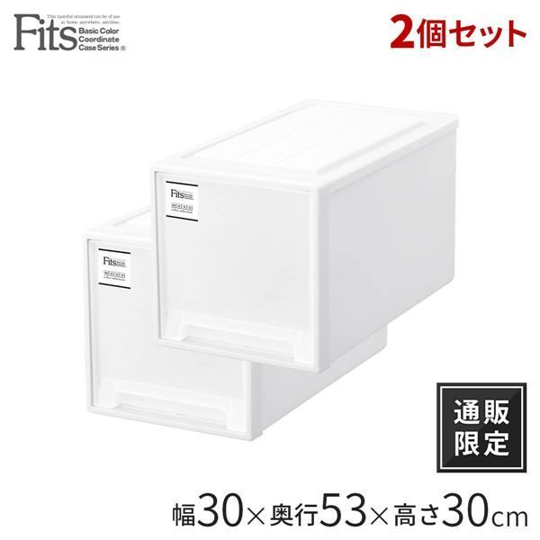 衣類収納 収納ケース クローゼット L-30 ホワイト 2個組 幅30cm キャスター対応 天馬 Fits フィッツケース モノ