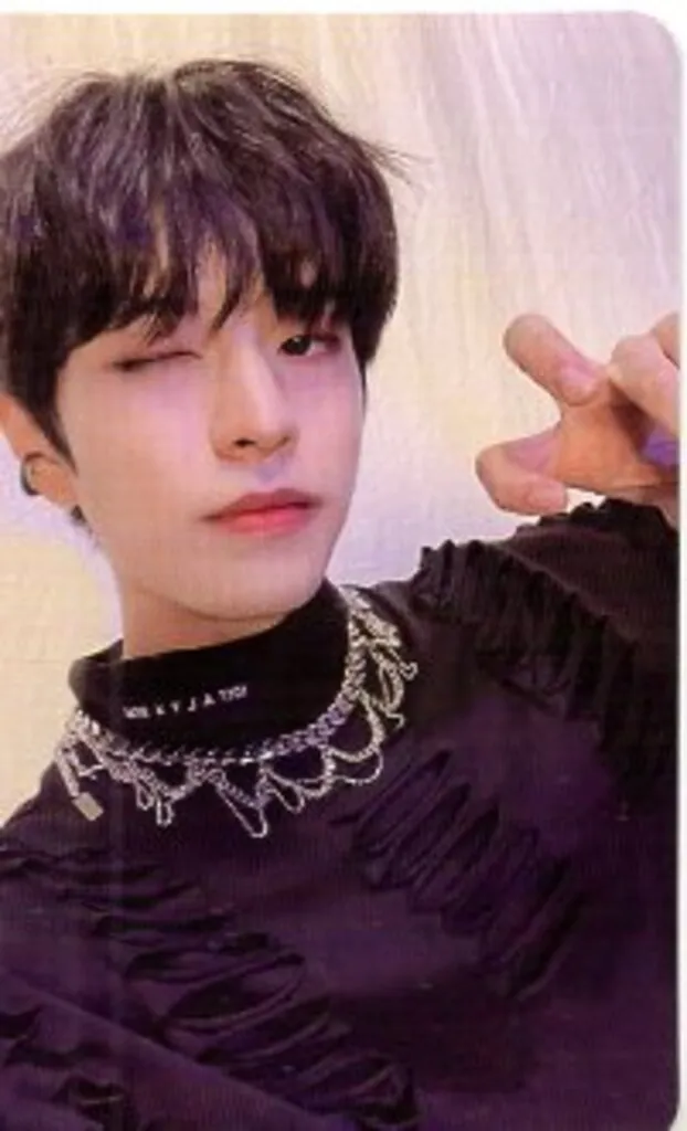 Seungmin – ODDINARY core album photocard photocard