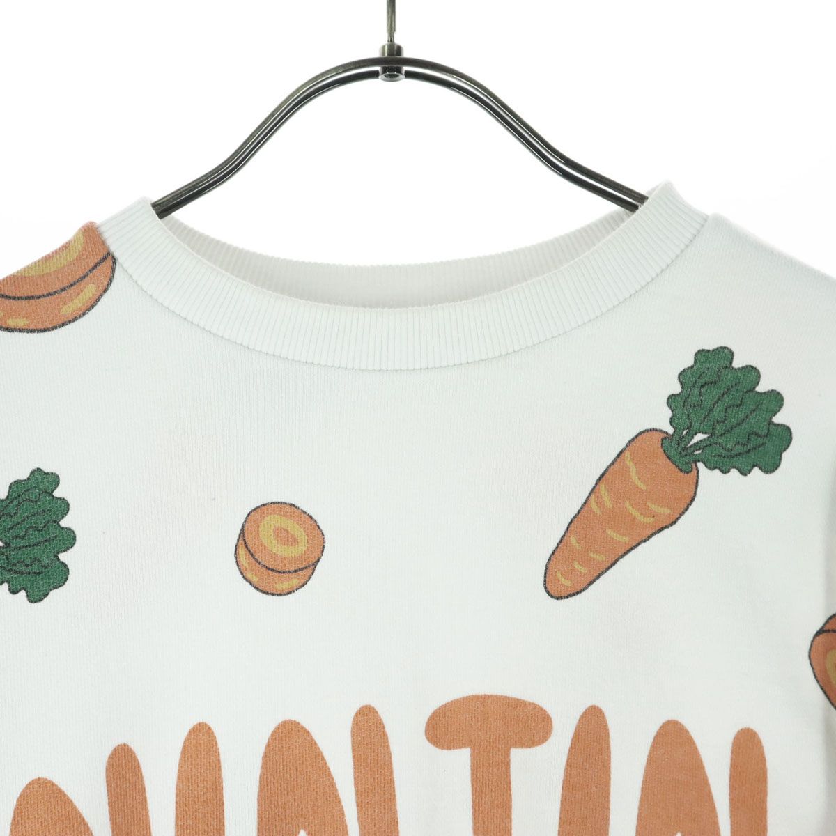 PUNYUS にんじんトレーナー フード総柄スウェット(LEMON NINJIN EDAMAME)[商品：PN18SS-099