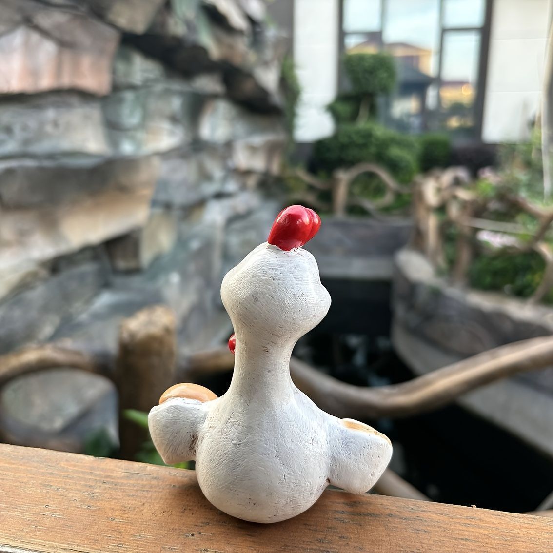 卵を持っているニワトリ