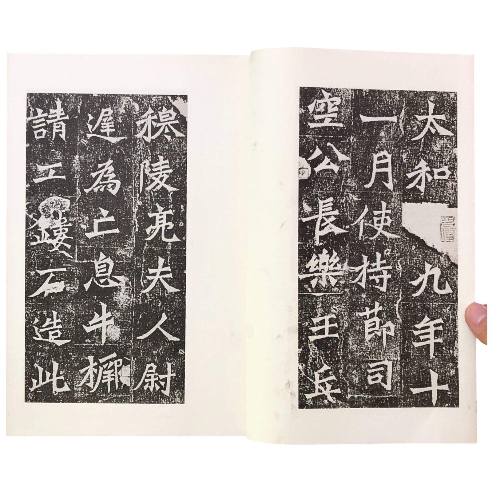 龍門二十品 広瀬保吉 清雅堂 昭和50年6月25日 ☆石碑拓本/中国書道/法