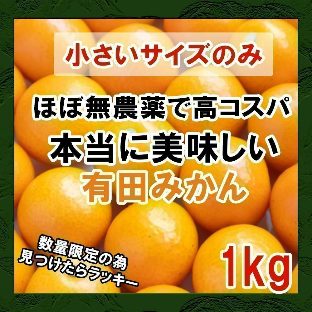 減農薬 甘い うまい 安いの有田みかん 1kg 早生 - 果物