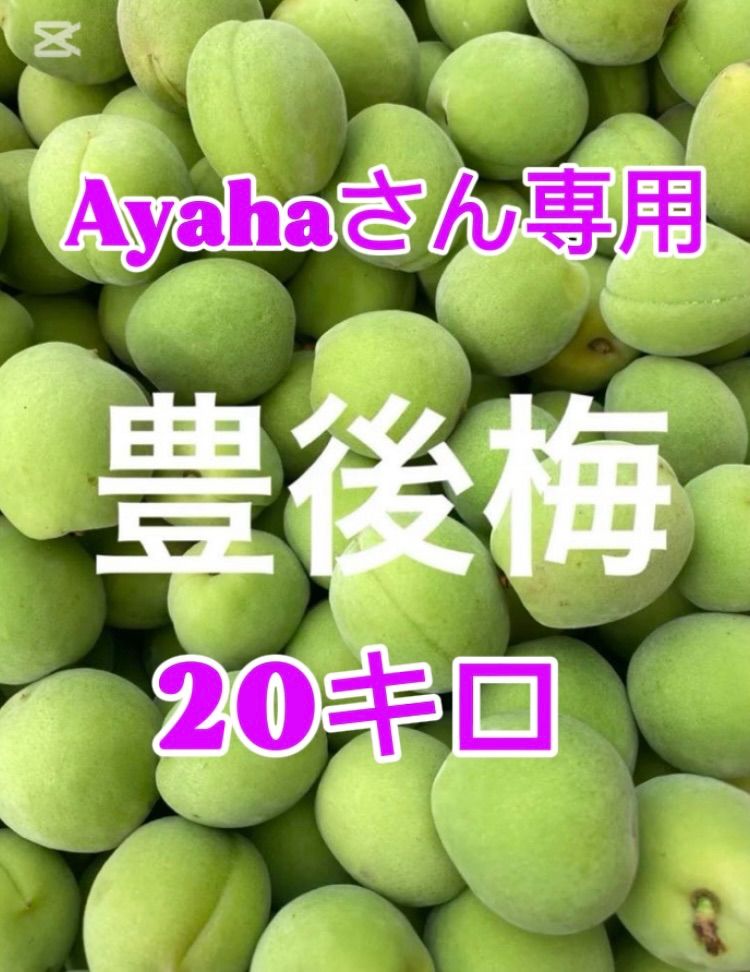 Ayahaさん 20キロ 箱込み