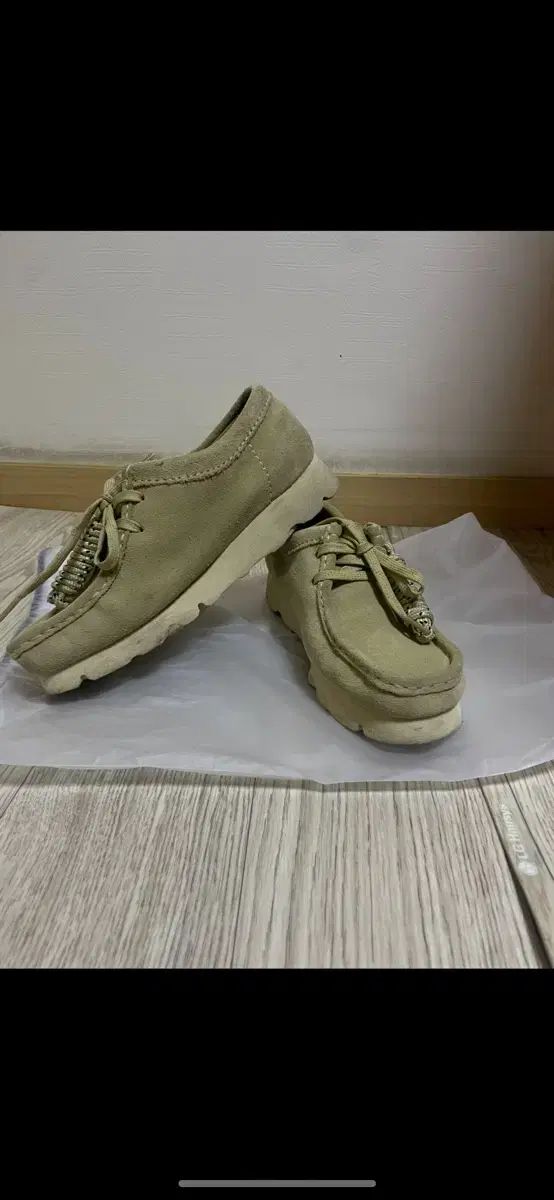 LUNA SEA J model SG-Bass タイプ 【公式通販】 зҫҺе“Ғ Grassroots G-J