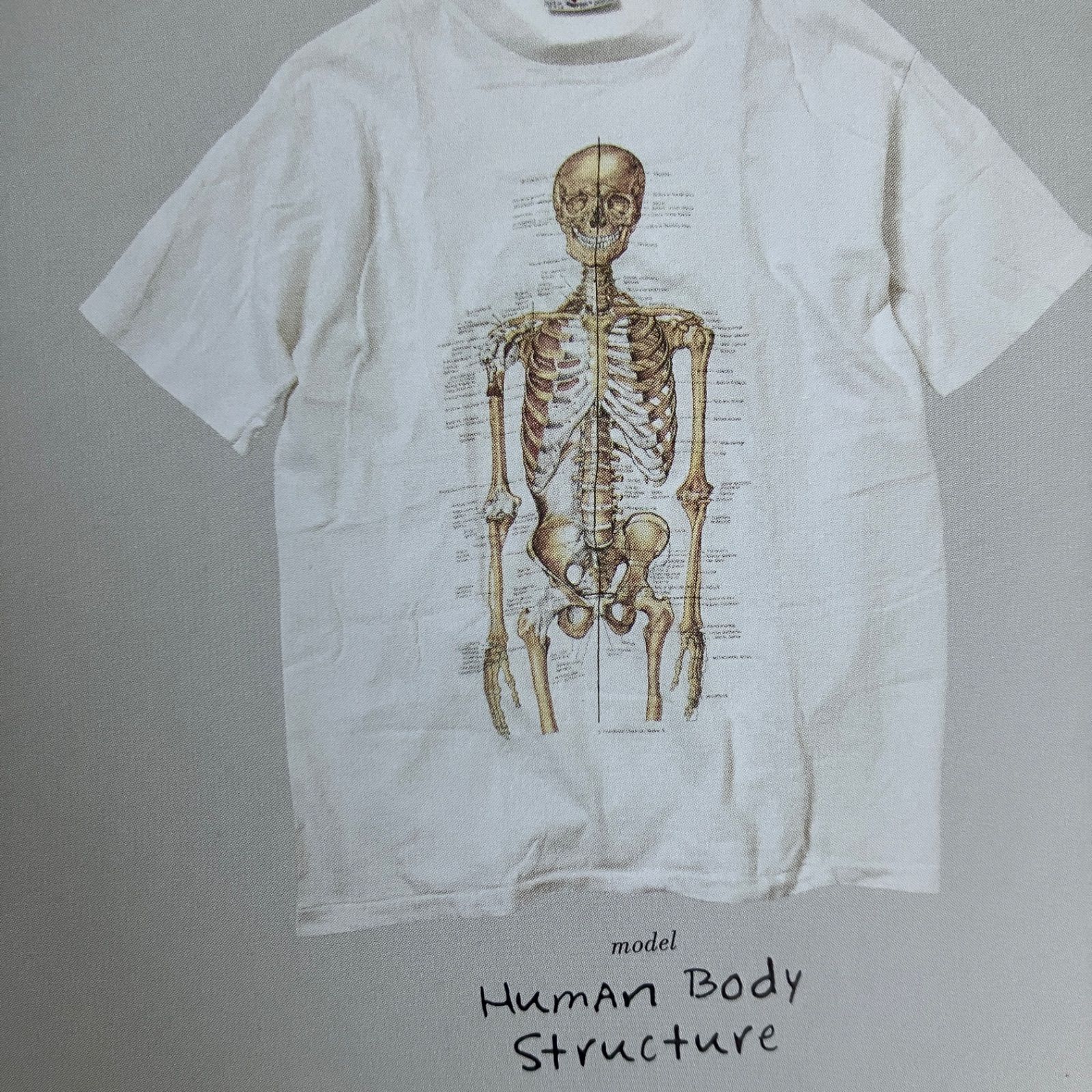 80s Anatomical Chart T-shirt 骨格標本 NIRVANA 90s アメリカ製