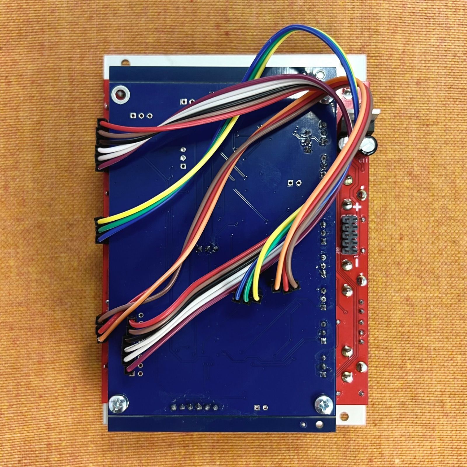 x0x heart ユーロラック モジュラーシンセ TB-303 クローン Open Music Labs x0x-heart シルバー ユーロラック モジュラー