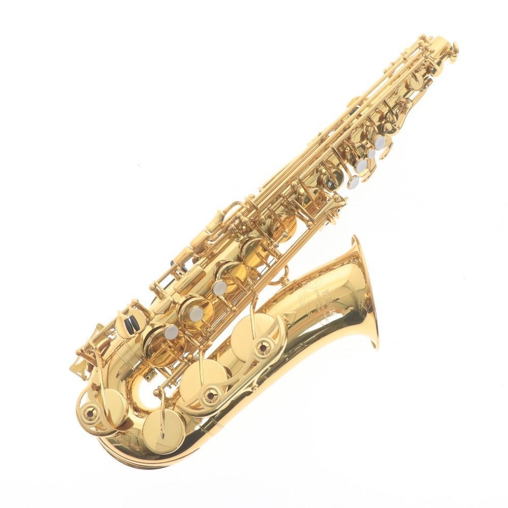YAMAHA アルトサックス ゴールド ケース付き YAMAHA ( ヤマハ ) YAS-875EXG アルトサックス カスタム 送料