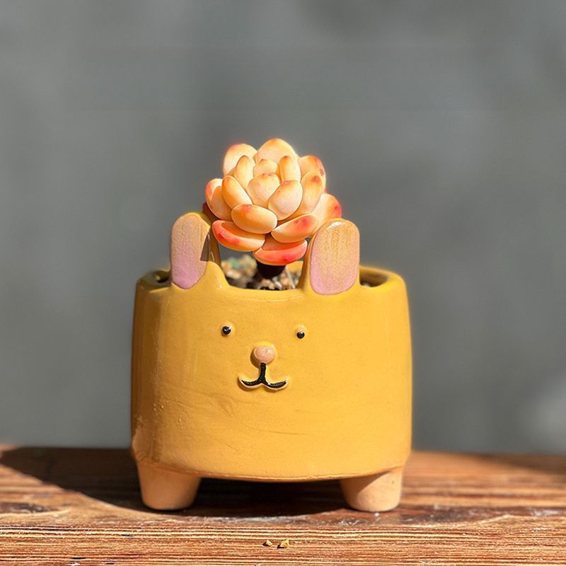 特大コンクリ鉢◇駐車場 会社 施設ドライガーデン南国アガベ ヤシ