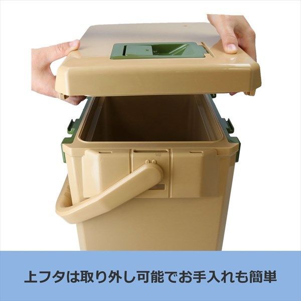 ライトソルト