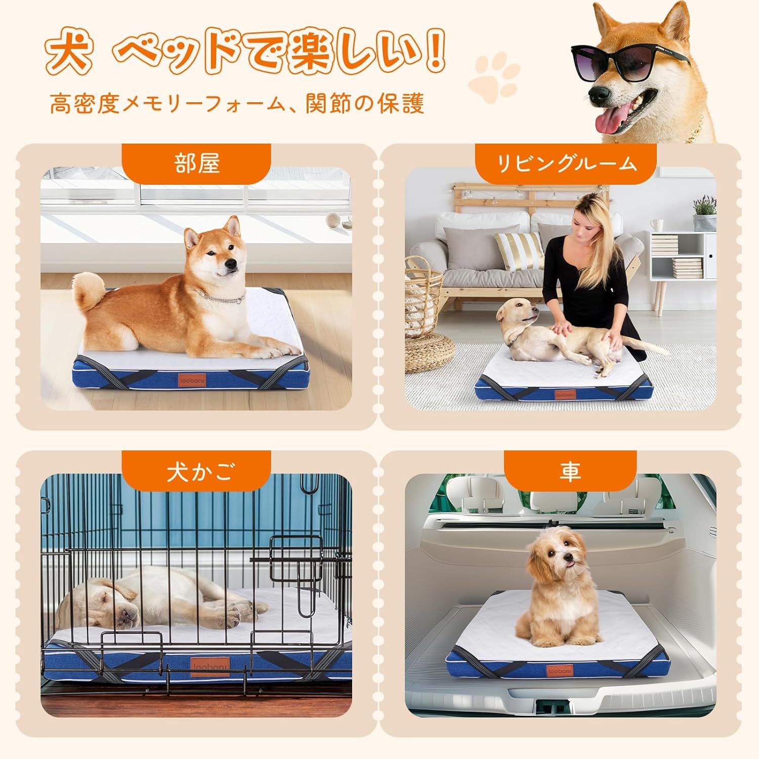 防水 犬