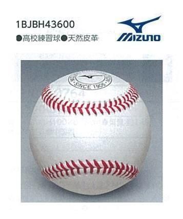 高校練習球 MIZUNO ミズノ 硬式ボール　天然皮革 練習球 高校野球 中学硬式 1個 1BJBH43600