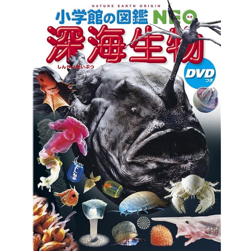 【新品・DVDつき】小学館の図鑑NEO 4冊セット(恐竜・深海生物・乗りもの等) 新品・DVDつき】小学館の図鑑NEO 4冊セット(恐竜・深海生物