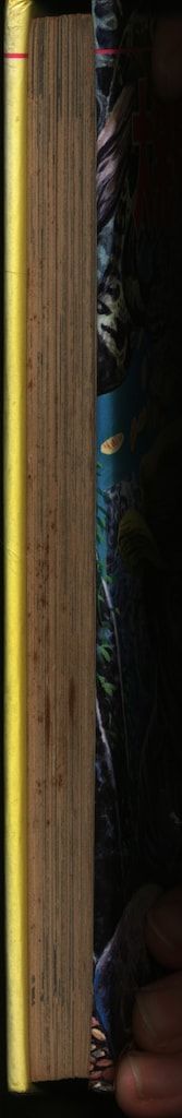 立風書房 ジャガーバックス 宮崎惇 大発見!世界の秘宝