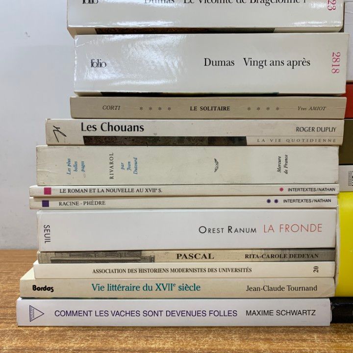 ■01)【同梱不可】フランス革命・文学・歴史などフランス語洋書 まとめ売り約25冊セット/本/世界史/文芸/小説/政治/コルベール/デュマ/B □01)【同梱不可】フランス革命・文学・歴史などフランス語洋書