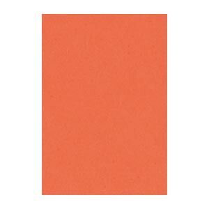 リンテック ニュー Ｒ 8 NCR 213 だいだい