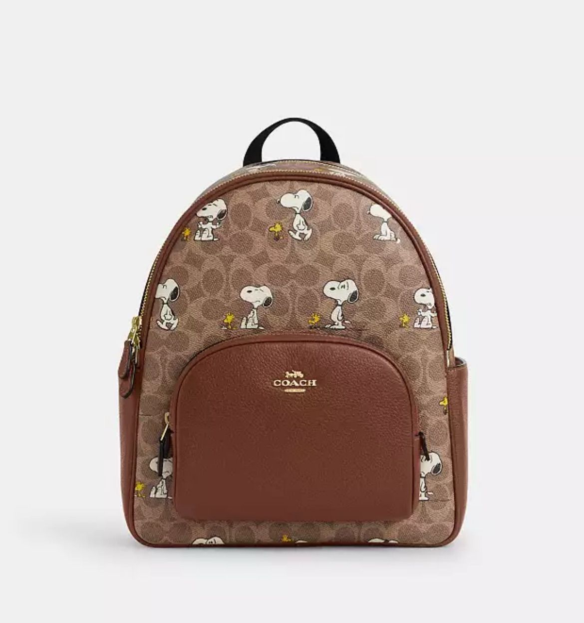 Momoさん専用特別割引　滋賀医科　編入(過去問・復元・解答)4年分+山口 Momoさん専用特別割引 滋賀医科 編入(過去問・復元・解答)4年分+