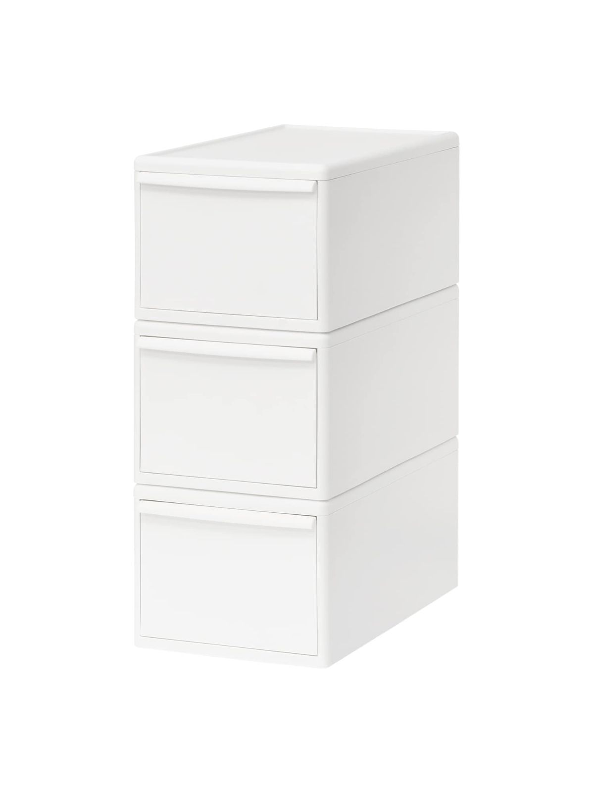 アカシア「スペクタビリス」7号鉢180cm大株 アカシア「スペクタビリス」7号鉢180cm大株 観葉 植物 木