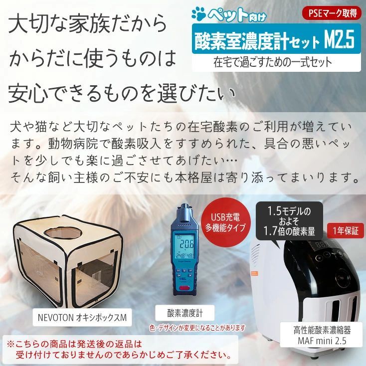 フェレット うさぎ