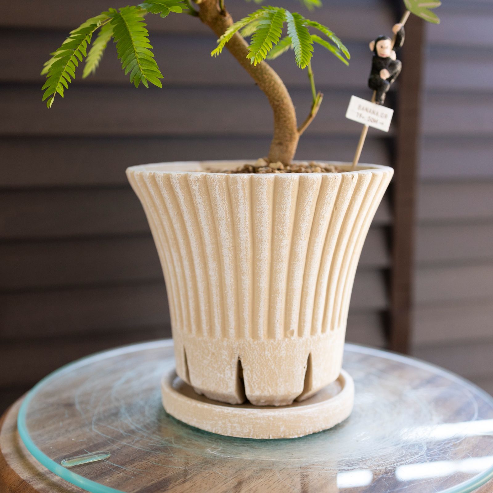 楽天市場】SMOKED POT【 菊鉢 】7号Φ23cm×H19.5cm 陶器 植木鉢