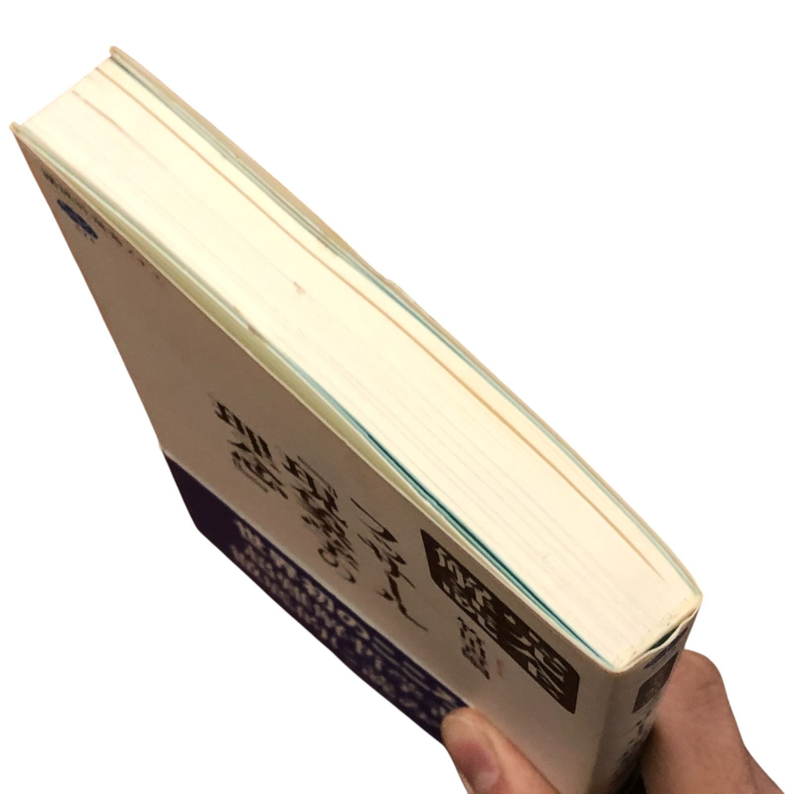 完全解読 フッサール『現象学の理念』 竹田青嗣 講談社 2012年3月20日