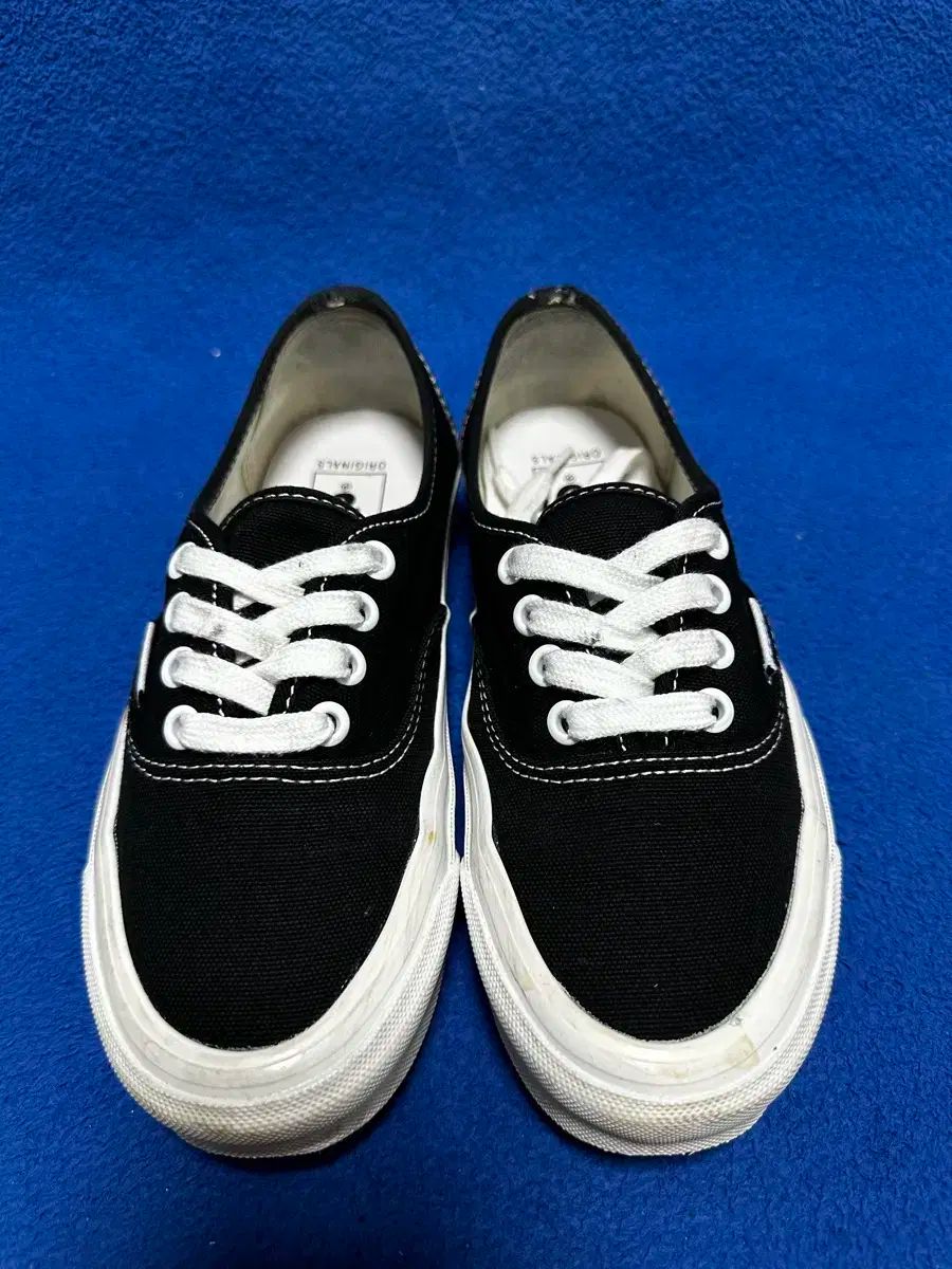 220mm VANS(バンズ) ボルト オーセンティック 黒 Vans