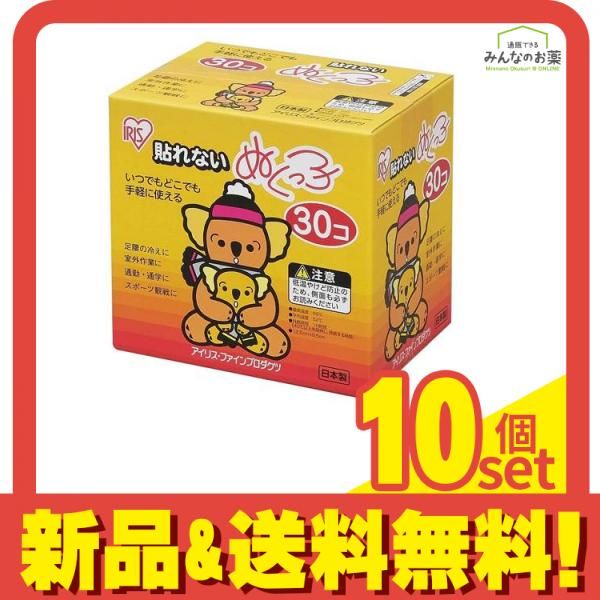 貼れないぬくっ子 レギュラーサイズ 貼らないカイロ 30個入 10個セット まとめ売り