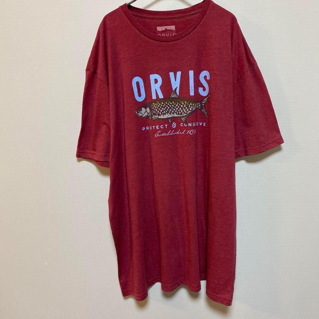 ORVIS 古着　半袖Tシャツ オービス ORVIS XXL プリント半袖Tシャツ アートT フィッシング