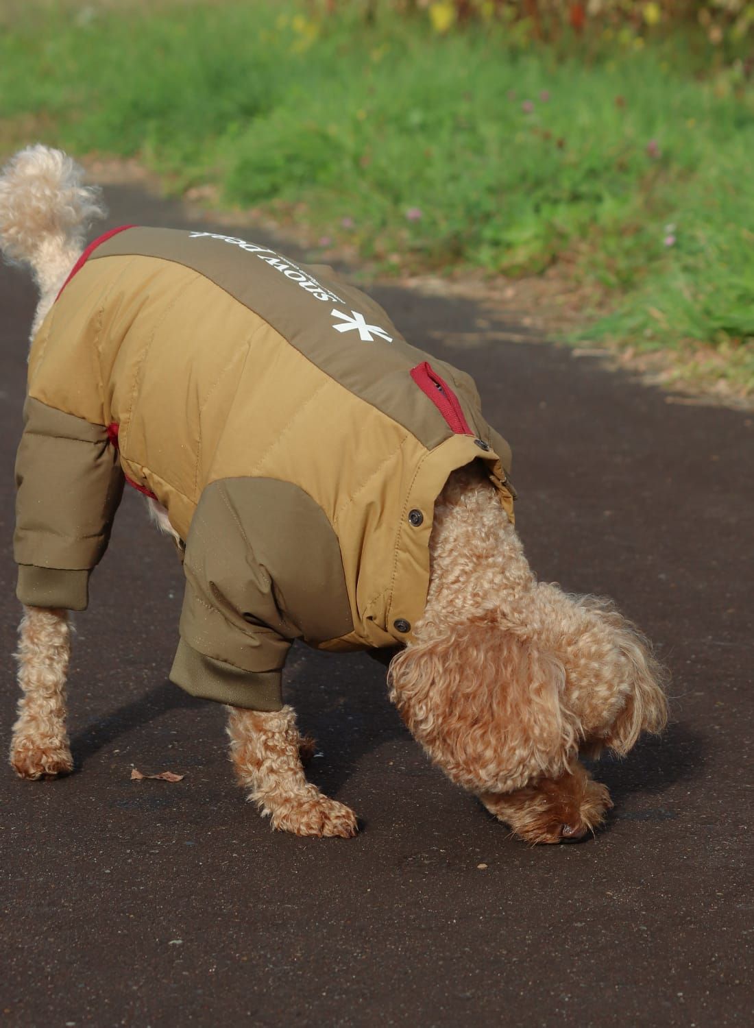 Snow Peak(スノーピーク)SP Dog Down Jacket(SP ドッグ ダウン