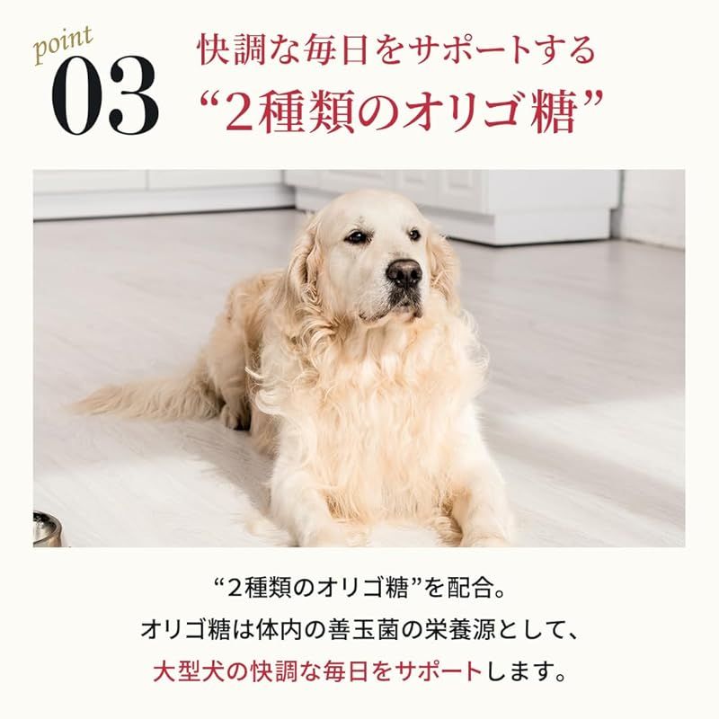 ネルソンズ ドッグフード（5kg）全犬種 全年齢 対応 中型犬 大型犬