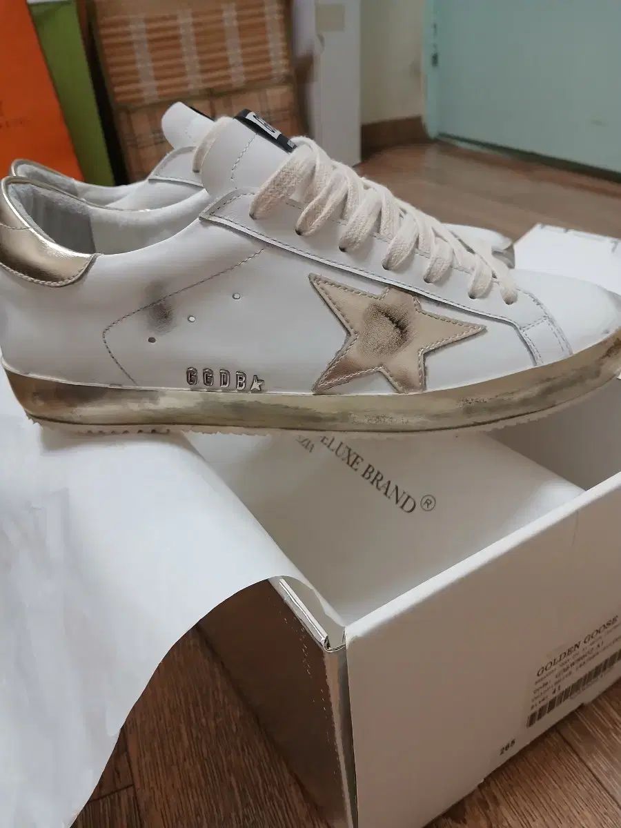 ✟