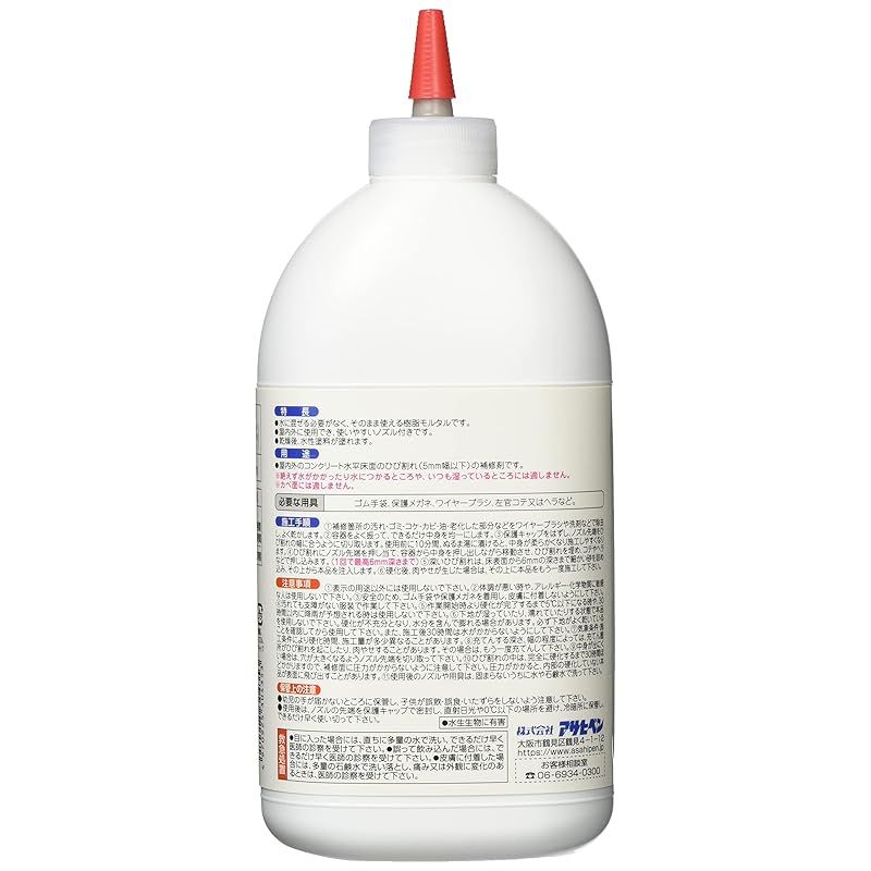 特価❣️渡辺俊也◇『少女』◇サージ・マルジス大賞◇油彩画F10号