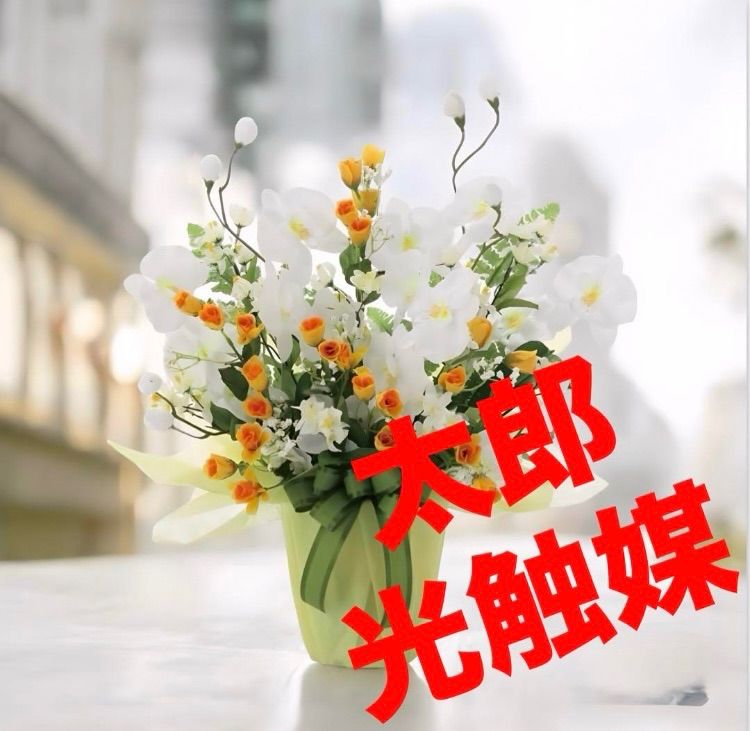 光触媒 人工観葉植物 ウォールグリーン フェイクグリーン 胡蝶蘭メロー 