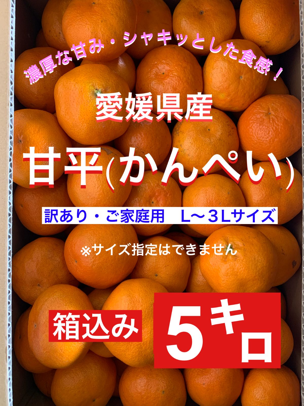 愛媛県産 甘平 家庭用 5キロ 2/16締切 - フルーツ