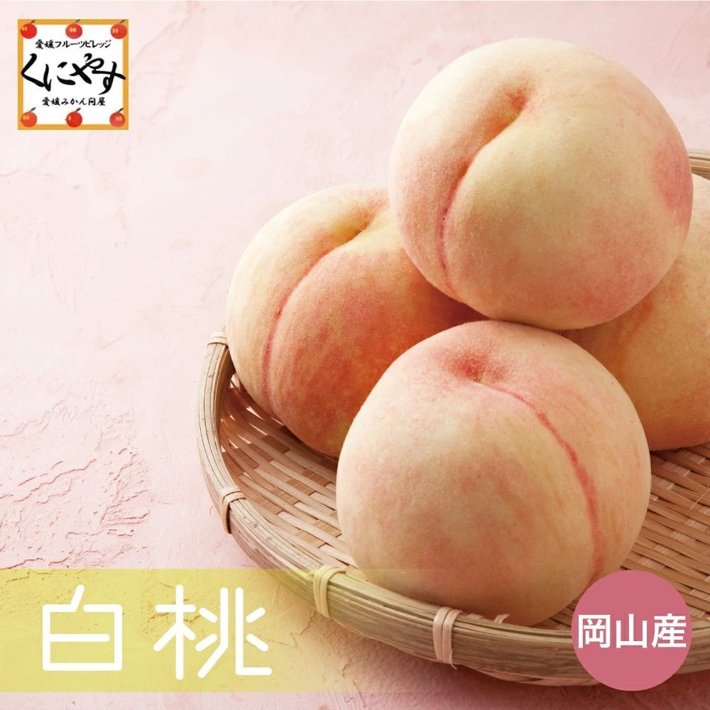 6|21〜7|10 出荷 瀬戸内の暖かい気候で育った 品 岡山産 白桃 2L 2kg 約8-9個 クール ギフト 贈答用 岡山産 白桃 桃 もも フルーツ 贈答 果物 白鳳