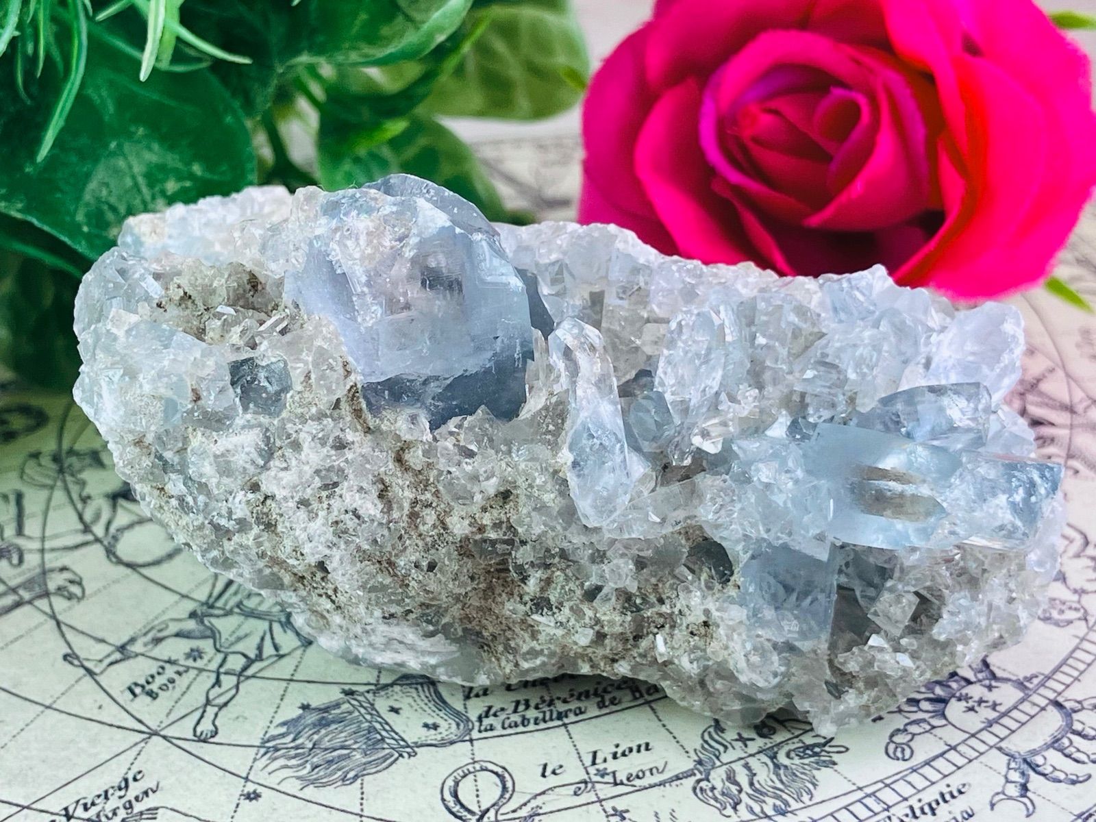 値下げ◆BEAT-CLUBビートクラブ◆ウエストコーストロック◆レーザーディスク 値下げ◇BEAT-CLUBビートクラブ◇ウエストコーストロック