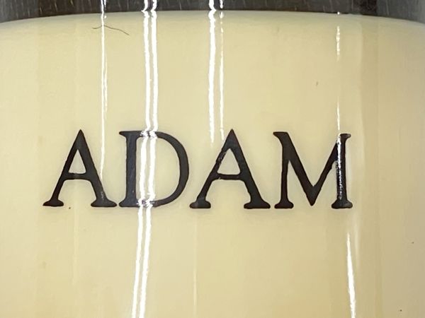 ADAM ビリヤード キュー 19oz. シャフト付き ケース付き アダム 中古 