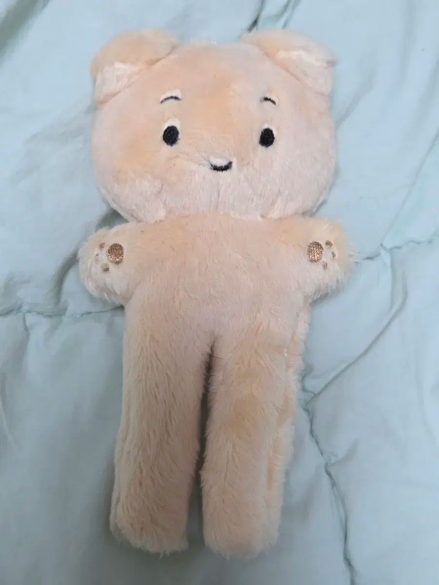 BOYNEXTDOOR(ボイネク) ウナク(WOONHAK) 人形 ぬいぐるみ ぬい ムンハク ロングハック