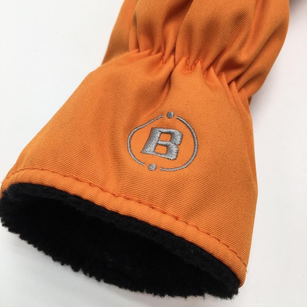 ブリーフィング