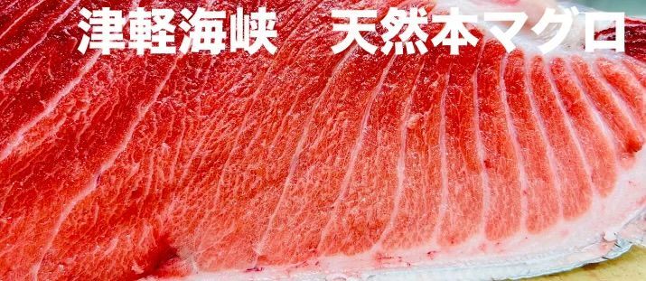 天然本マグロ食べ比べセット　刺身用【津軽海峡　函館　戸井産　本鮪　赤身・大トロ・中トロ 各200ｇセット　計600g以上】本まぐろ食べ比べ【送料込】