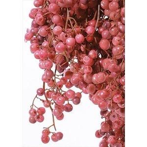 【新品・5営業日で発送】大地農園 ペッパーベリー プリザーブド ピンク 76-3380-100 (1240347)