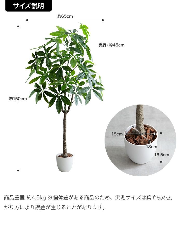 高さ150cm】Nature 光触媒人工観葉植物 パキラ 人気 光触媒人工観葉