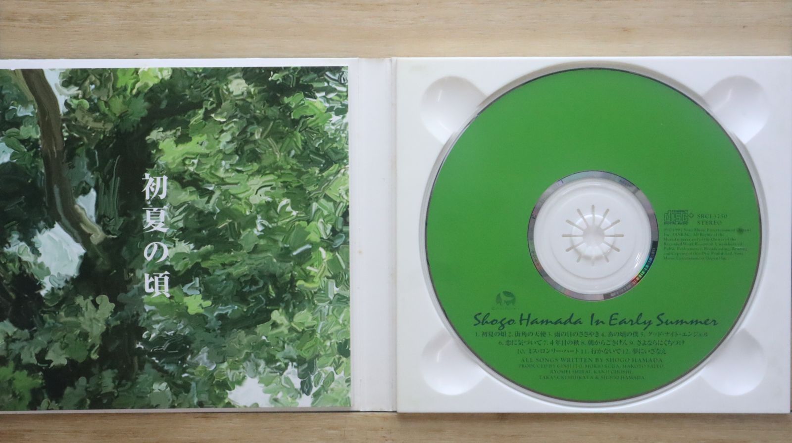 国内盤CD☆浜田 省吾/Shogo Hamada□ 初夏の頃 【SRCL3750
