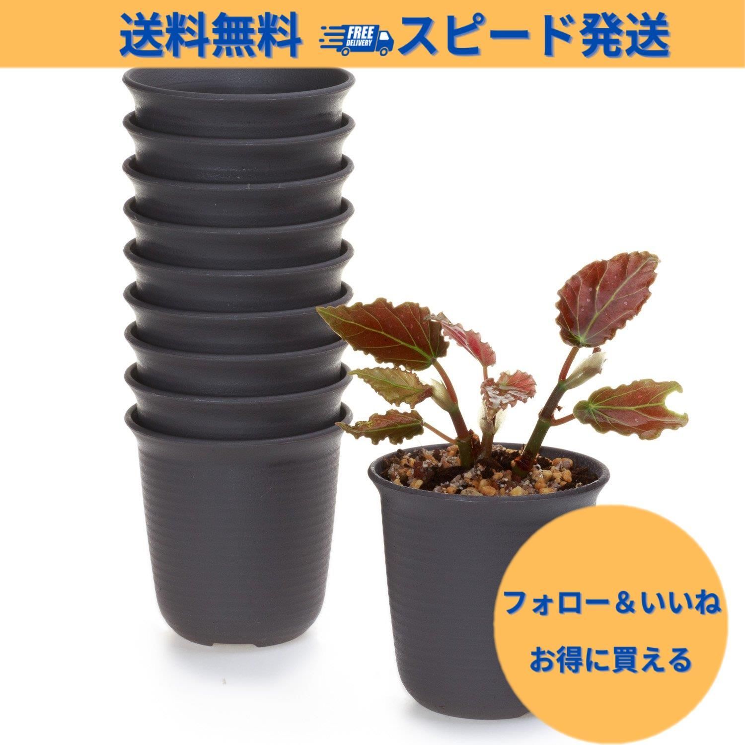 クーポン有】T4U 6.5CM ミ二植木鉢 プラスチック多肉植物鉢 サボテン鉢 沢山の排水穴付き プランター ミニ観葉植物 ハーブ用  育苗ポットダークブラウン 10個入り室内外用 - メルカリ