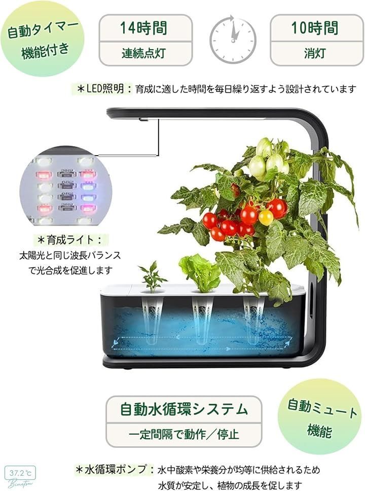 室内 おしゃれ