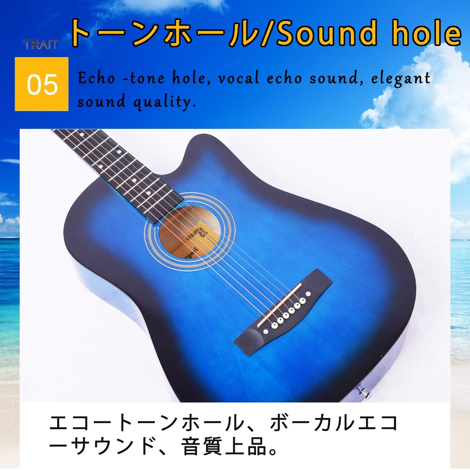 Aryari アコースティックギター ブルー 初めて買ったギター Aryari アコースティックギター 初心者セット 38インチ 22点セット