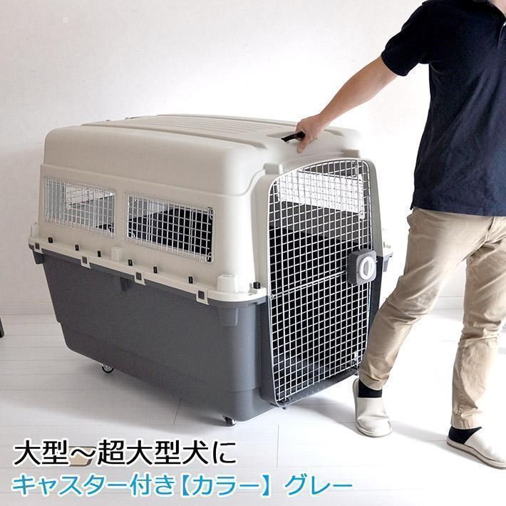 ペットキャリー DX120 3XL 大型犬 超大型犬 キャリー キャリーケース クレート ハードキャリー 別途送料必要 返品キャンセル不可