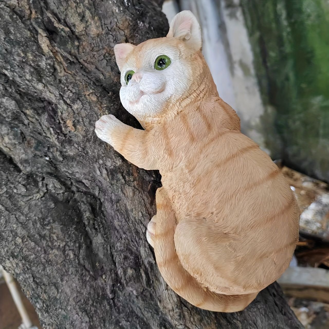ナマケモノ ネコ