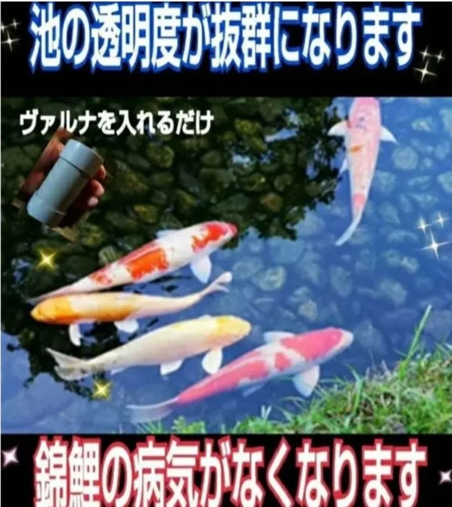 ヴァルナ 池に投げ込むだけで500トン浄化します！透明度アップにどうぞ ...