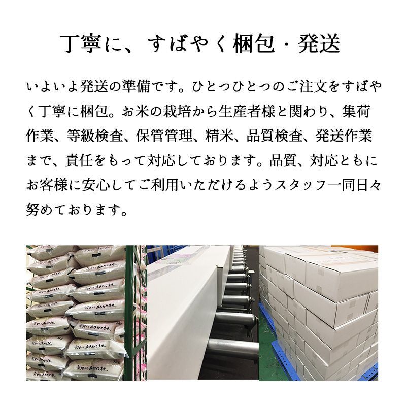 新米 新之助5kg お米 令和6年産 白米