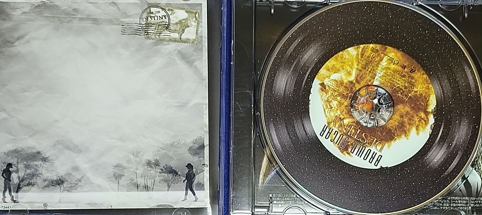 DESTINY (J‐ポップ) BROWN SUGAR（J－REGGAE